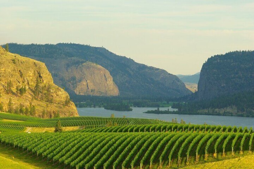 Half-Day Private Lake Country Wine Tour from Kelowna