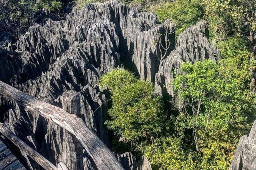 Tsingy du Bemaraha