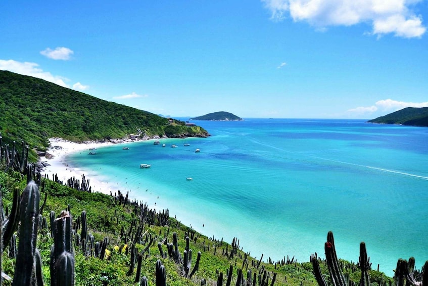 Picture 2 for Activity From Rio: Arraial do Cabo - The Brazilian Caribbean Daytrip