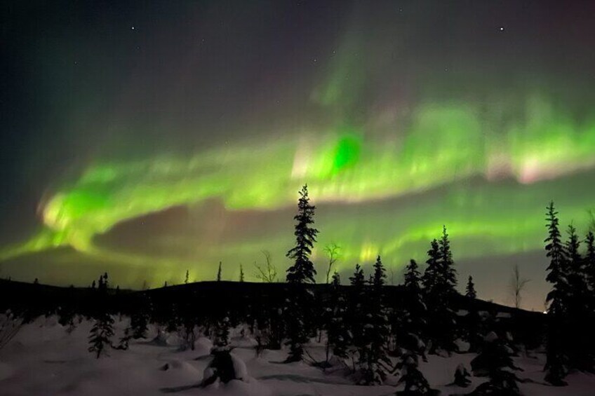 Fairbanks Aurora Viewing Adventure 