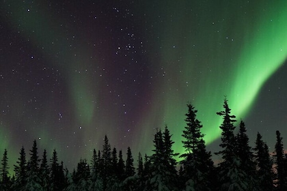 Fairbanks Aurora Viewing Adventure