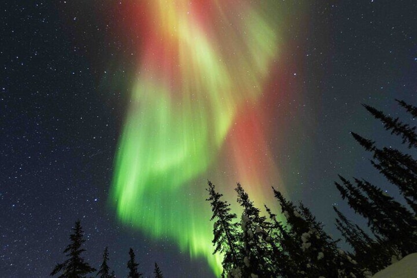 Fairbanks Northern Lights Adventure with free Aurora portraits 