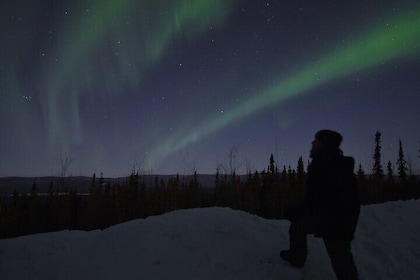 Aventure d'observation des aurores boréales à Fairbanks