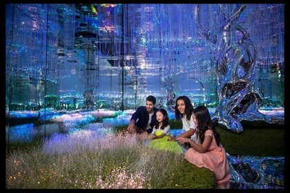 Multi Attractions Passes in Dubai with Optional Transport