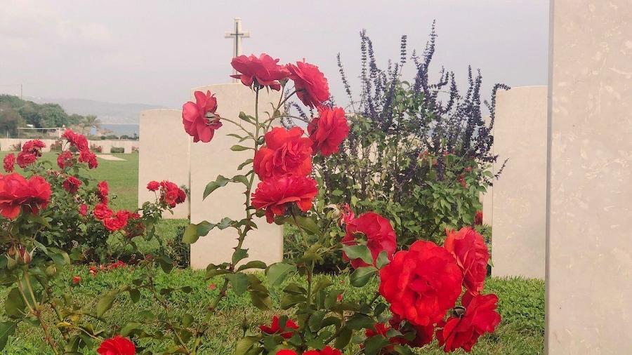 From Chania: Crete World War II History Tour