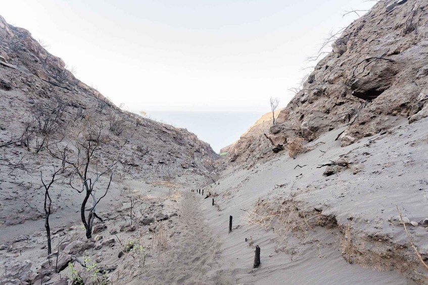 Picture 13 for Activity Stromboli: Sunset Trekking at Sciara del Fuoco