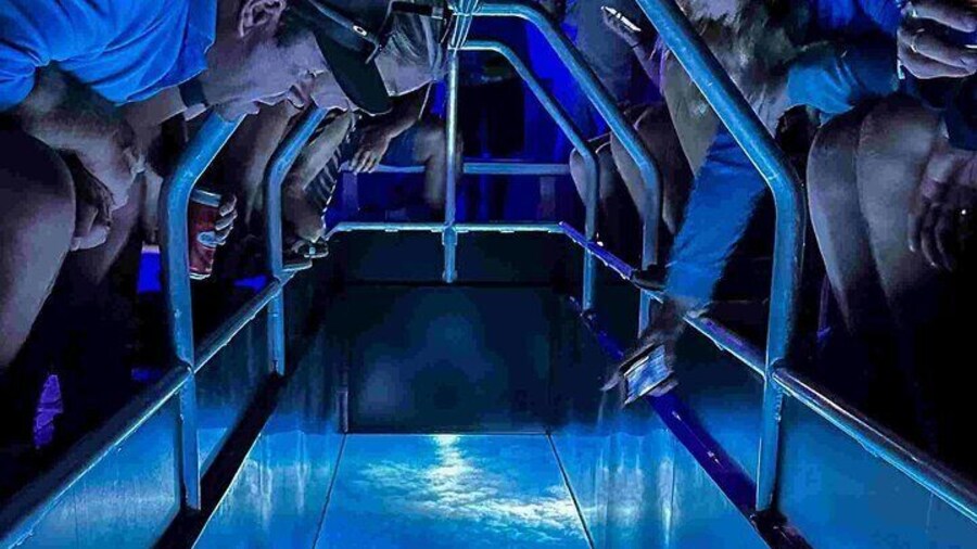 Shute Harbour Glass Bottom Boat Guided Night Tour