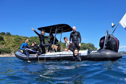 Cathedral Cove Marine Reserve - Specialised Boat Snorkelling