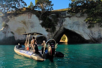 Cathedral Cove Marine Reserve - Specialised Boat Snorkeling