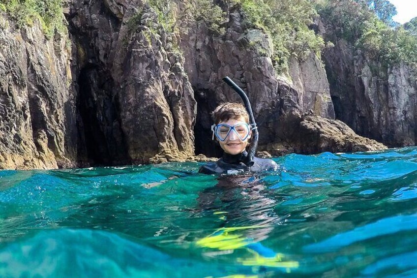 Cathedral Cove Marine Reserve - Specialised Boat Snorkeling