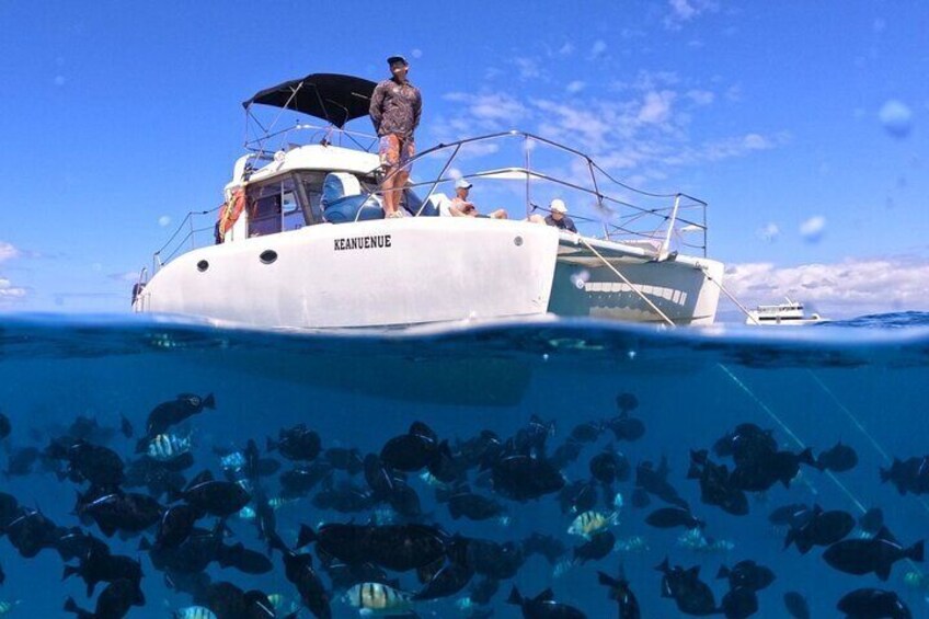 Catamaran at turtle snorkel spot in Waikiki