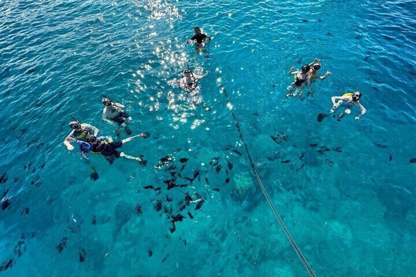 Learning how to snorkel in the clear waters of Waikiki