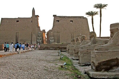 2 Days and 1 Night Trip to Luxor from Hurghada with Entrance fee