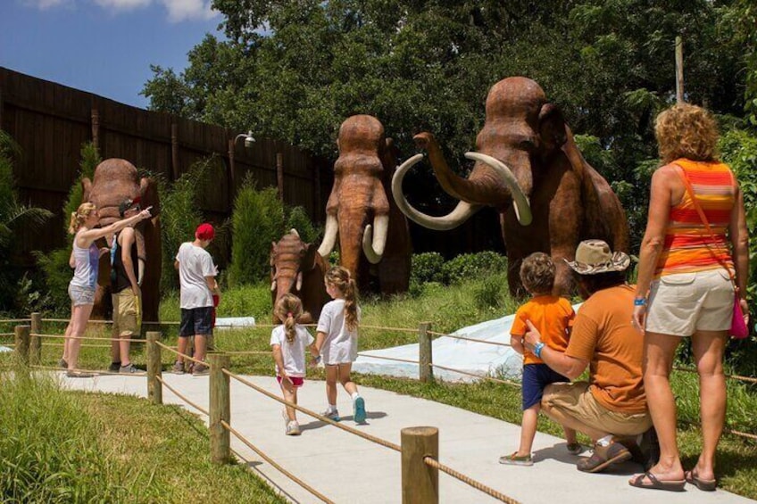 Mammoths