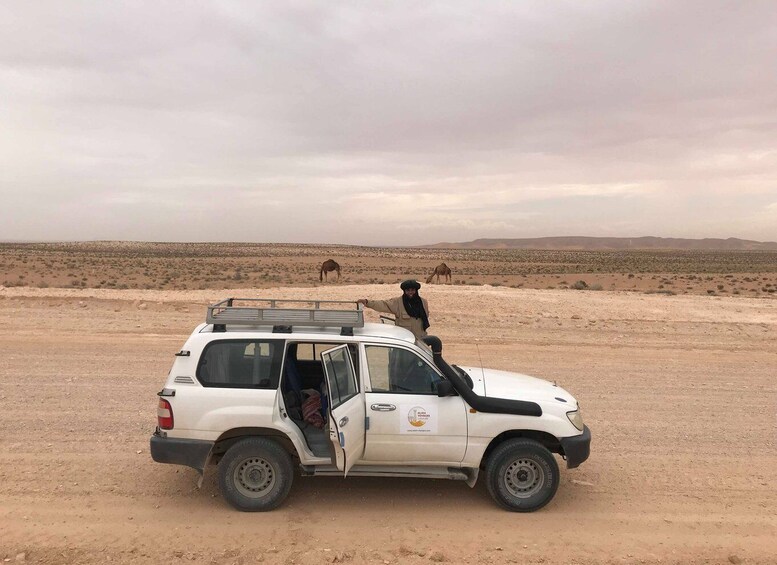 Picture 8 for Activity From Djerba: Full-Day Ksar Ghilane, Sahara and Oasis Tour