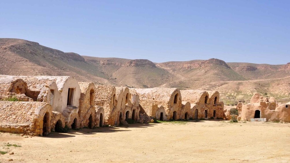 Picture 4 for Activity From Djerba: Full-Day Ksar Ghilane, Sahara and Oasis Tour