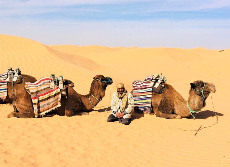 From Djerba: Full-Day Ksar Ghilane, Sahara and Oasis Tour