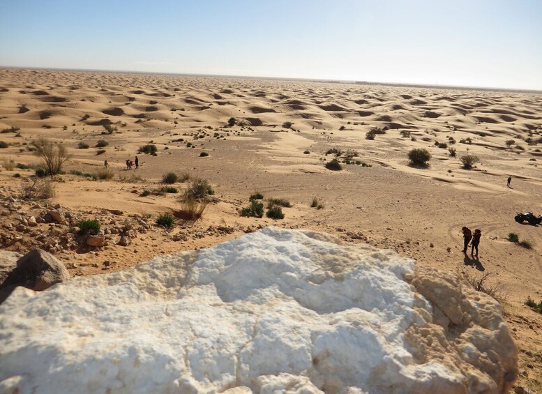 Picture 6 for Activity From Djerba: Full-Day Ksar Ghilane, Sahara and Oasis Tour