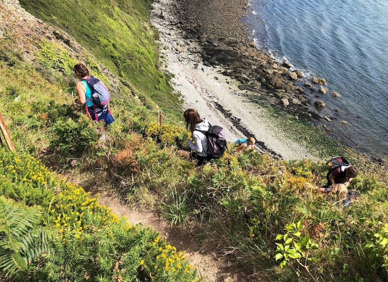 Picture 10 for Activity Dublin: Howth Peninsula Hiking Tour