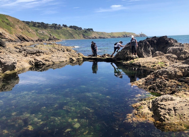 Picture 14 for Activity Dublin: Howth Safari Hiking Tour