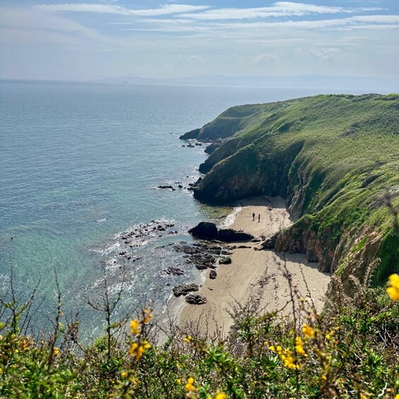 Picture 4 for Activity Dublin: Howth Peninsula Hiking Tour