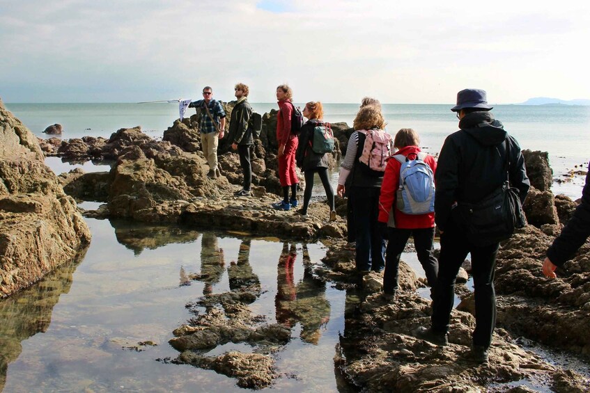 Picture 1 for Activity Dublin: Howth Safari Hiking Tour