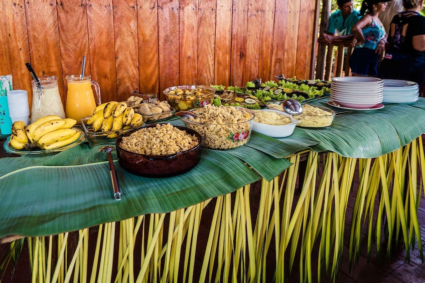 Picture 7 for Activity From Manaus: 3, 4, or 5-Day Tour at Tapiri Rio Negro Lodge