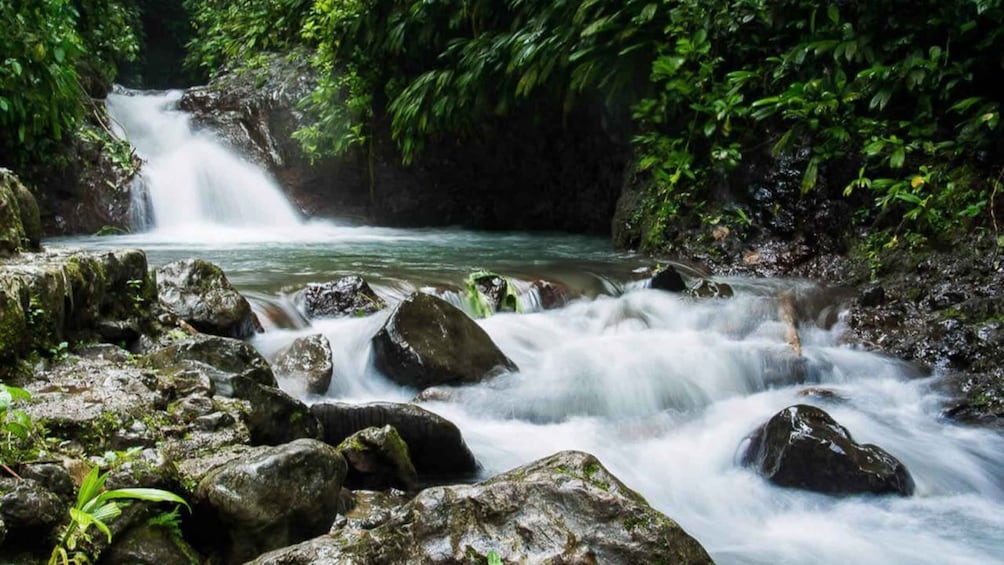 Picture 5 for Activity Manuel Antonio: Rainmaker Park Bridge & Waterfall Tour