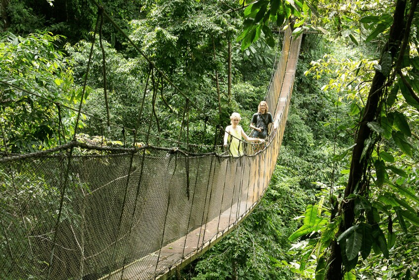 Picture 1 for Activity Manuel Antonio: Rainmaker Park Bridge & Waterfall Tour