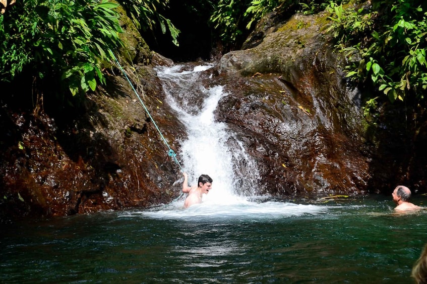Picture 6 for Activity Manuel Antonio: Rainmaker Park Bridge & Waterfall Tour