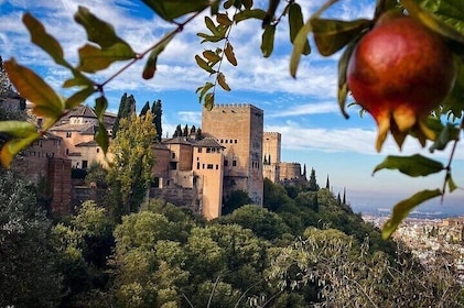 Private excursion to the Alhambra and Generalife from Malaga/port