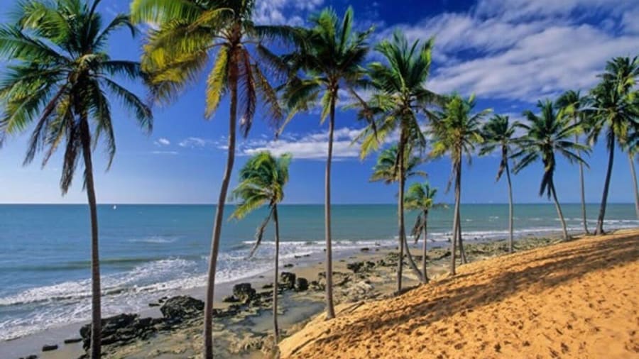 From Fortaleza: Lagoinha Beach Day Trip