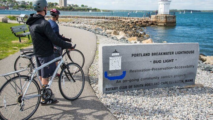 Bug Light
