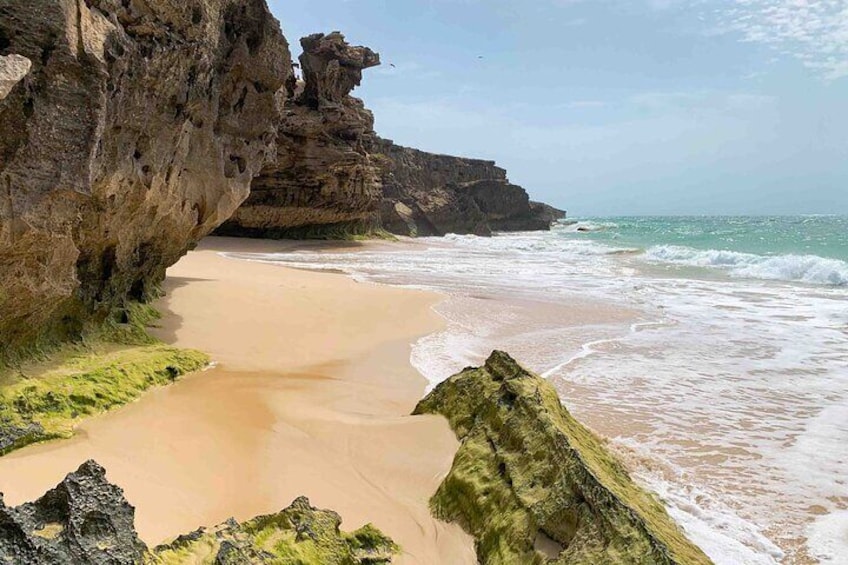 Boa Vista Island: Full Day North to South Discovery