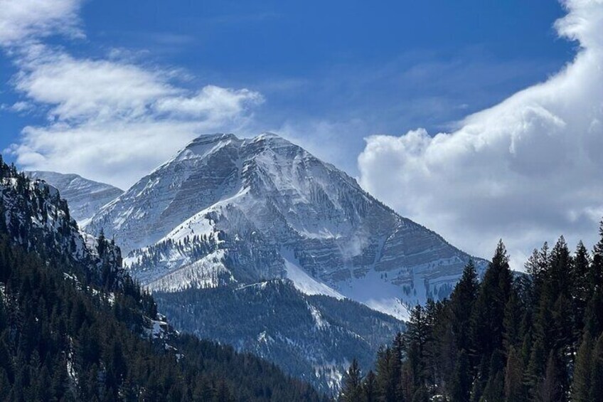 Alpine Loop