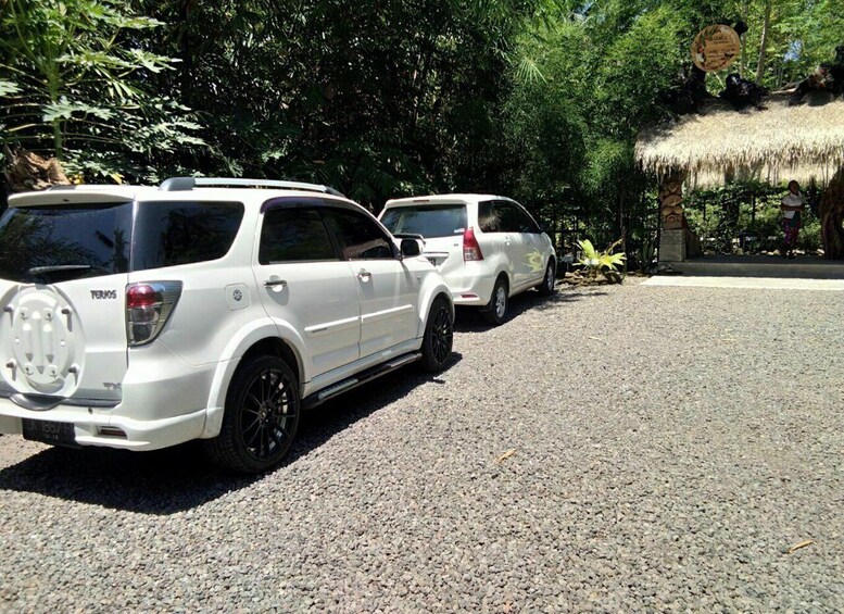 Picture 2 for Activity Bali: Private Transfer Between Ubud and Canggu