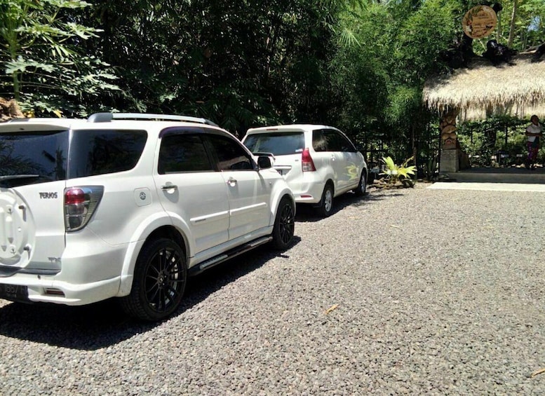 Picture 2 for Activity Bali: Private Transfer Between Ubud and Canggu