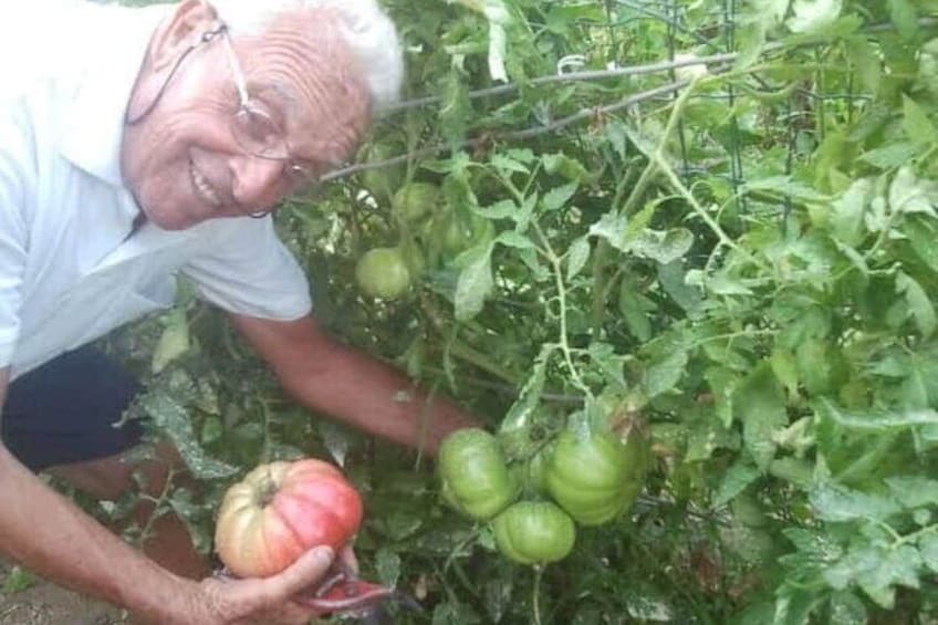 our tomatoes