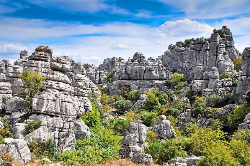 Picture 1 for Activity From Malaga: Torcal de Antequera Hiking Tour