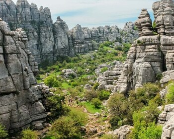 Dari Malaga: Tur Pendakian Torcal de Antequera