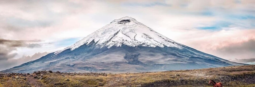 Picture 7 for Activity From Quito: Cotopaxi and Quilotoa 2-Day Trekking Tour