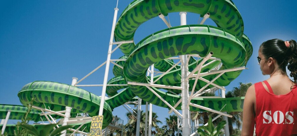 Picture 1 for Activity From Mallorca: Aqualand and Arenal Tickets and Transfer