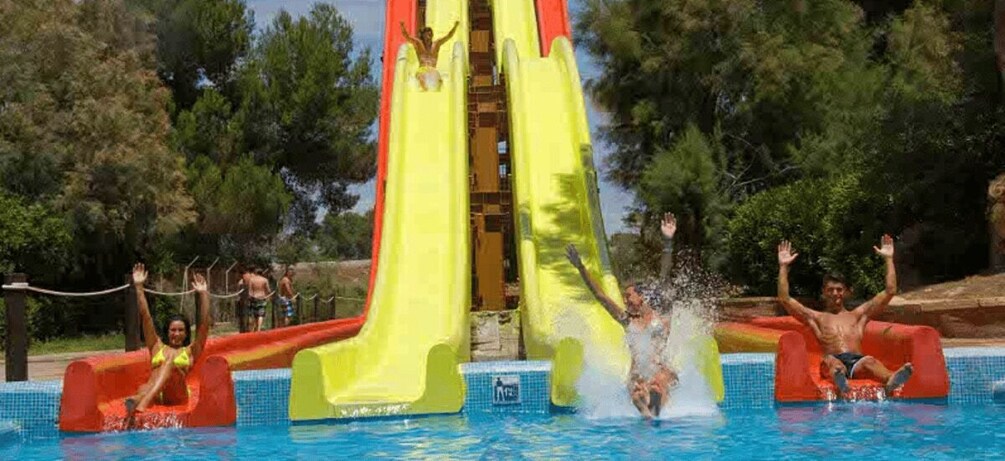 Picture 6 for Activity From Mallorca: Aqualand and Arenal Tickets and Transfer