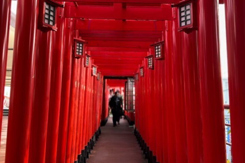 Zodiac Shrine and Naha Backstreets Cycling Tour