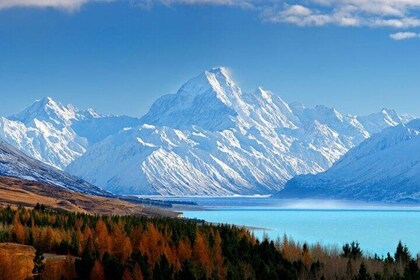 Lake Tekapo to Mt Cook One-Way Small Group Tour