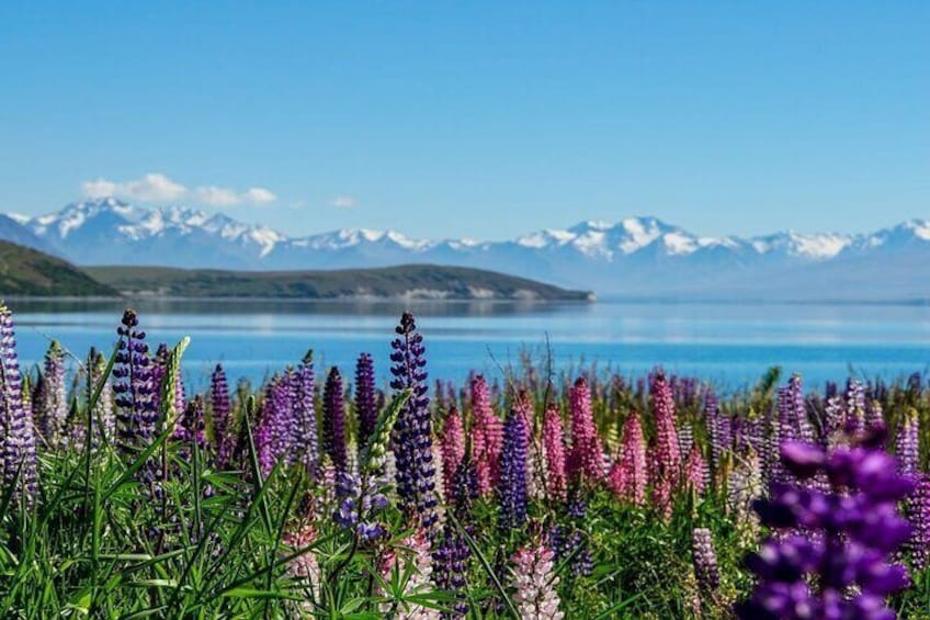 Lake Tekapo To Mount Cook One Way