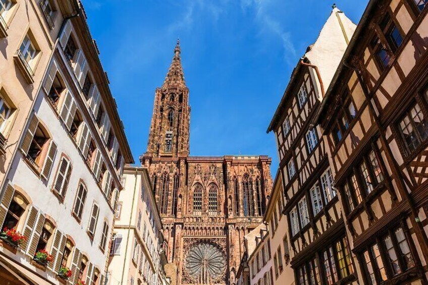Gourmet Bike Tour with a Locals in Strasbourg