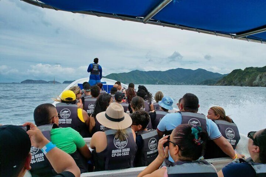 Tayrona Park Mountains