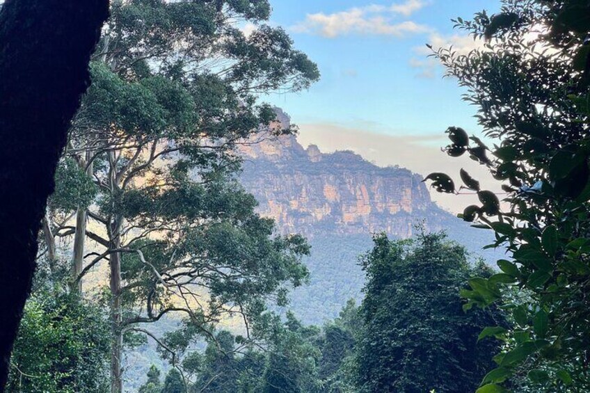 Scenic World Jamison Valley