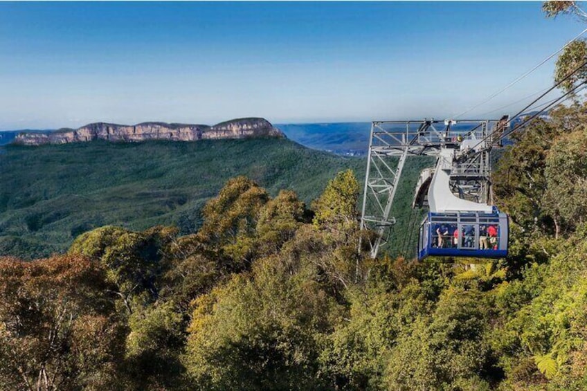 Scenic World
